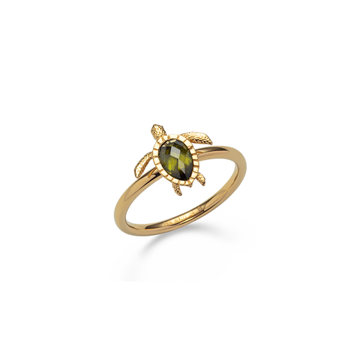 ﻿Paul Hewitt Turtle Ring Gold