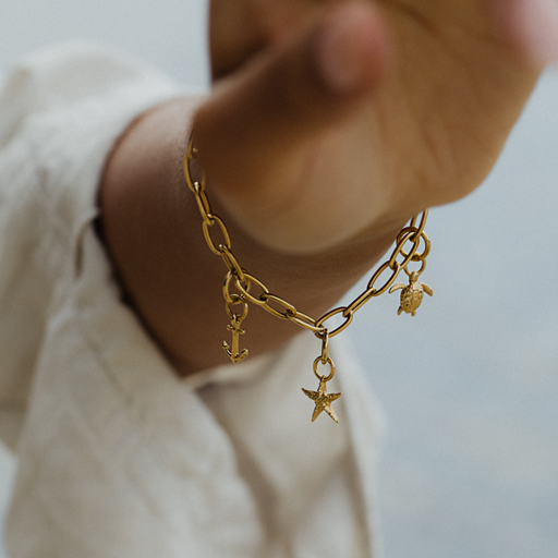 Paul Hewitt Turtle Charm Gold zollfrei
