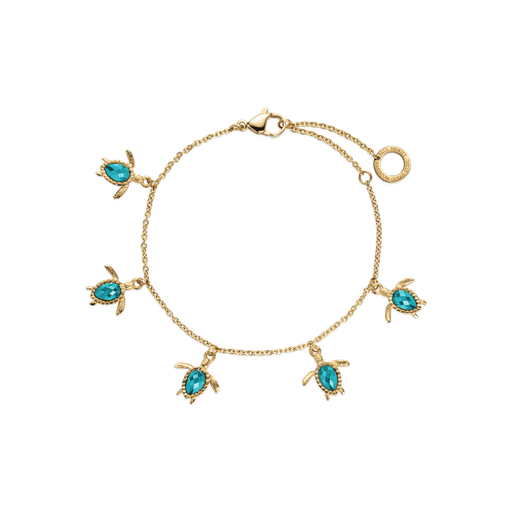 Paul Hewitt Turtle Armkette Aquamarine Gold