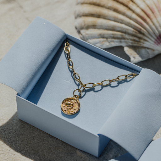 Paul Hewitt Aquarius Charm Gold Vierteljährliche Förderung