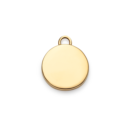 Paul Hewitt Aquarius Charm Gold Vierteljährliche Förderung