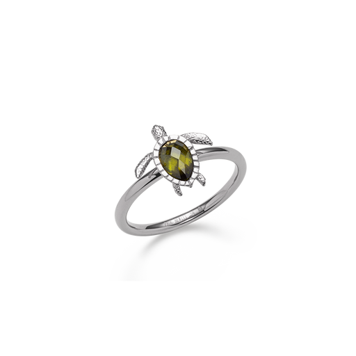 Paul Hewitt Turtle Ring Silber