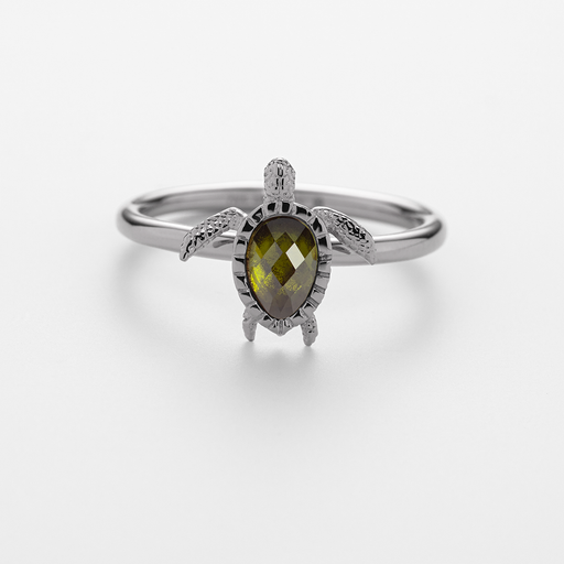 Paul Hewitt Turtle Ring Silber Verkauf