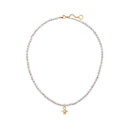 Paul Hewitt Set Turtle Charm und Halskette Gold Osterangebot