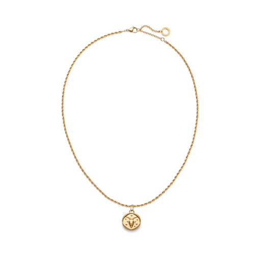 Paul Hewitt Rope Chain Halskette und Zodiac Charms Gold Letzte 3 Tage