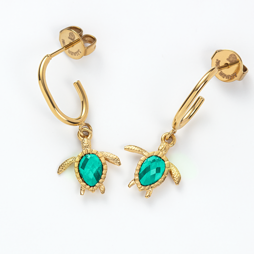 Paul Hewitt Turtle Cyan Set II Zeitbegrenzte Promotion