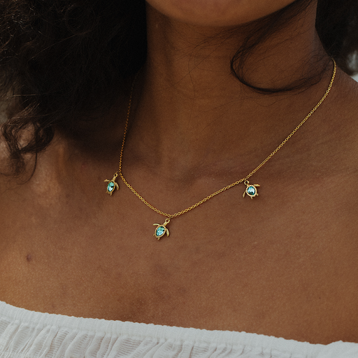 Paul Hewitt Turtle Cyan Set II Zeitbegrenzte Promotion