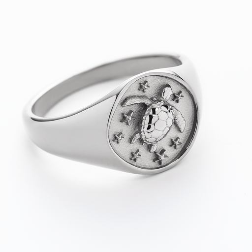Paul Hewitt Turtle Signet Ring Silber Kostenloser Versand