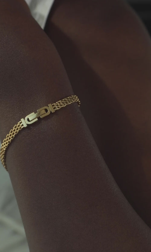Paul Valentine Mesh Bracelet Begrenzte Freigabe