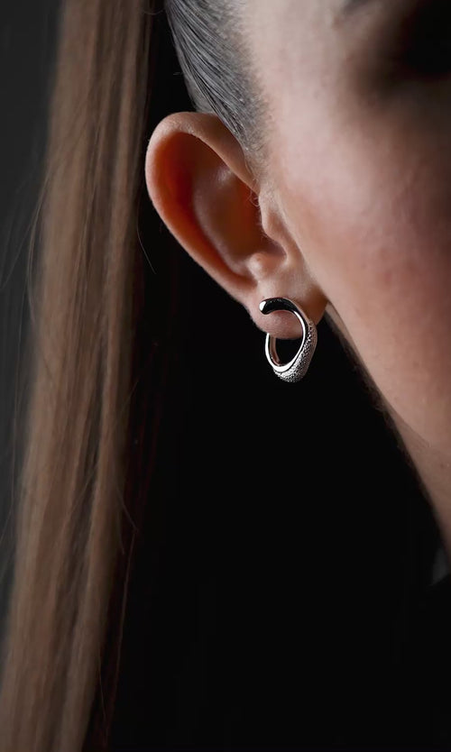 Paul Valentine Crystal Galaxy Ear Studs Super Sparpreis