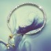 Silberdream SilberDream Armband Perlen diamantiert 925er Sterling Silber Damen SDA7004T Zeitbegrenzte Promotion