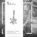 Silberdream SilberDream 925 Charm Schildkröte Armband Anhänger FC1001 Saisonschlussverkauf
